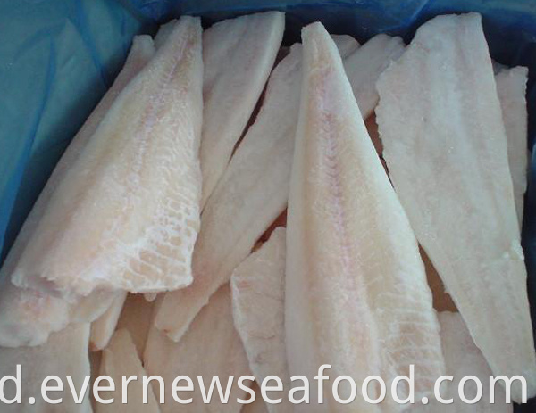 Fillet ikan segar hake fillet